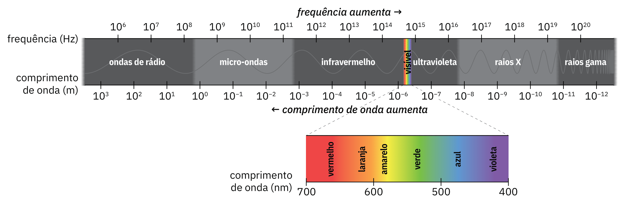 Esquema mostrando as faixas do espectro eletromagnético, com um detalhe para a faixa da luz visível