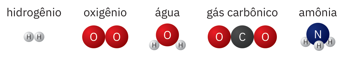 Modelos moleculares das substâncias hidrogênio, oxigênio, água, gás carbônico e amônia